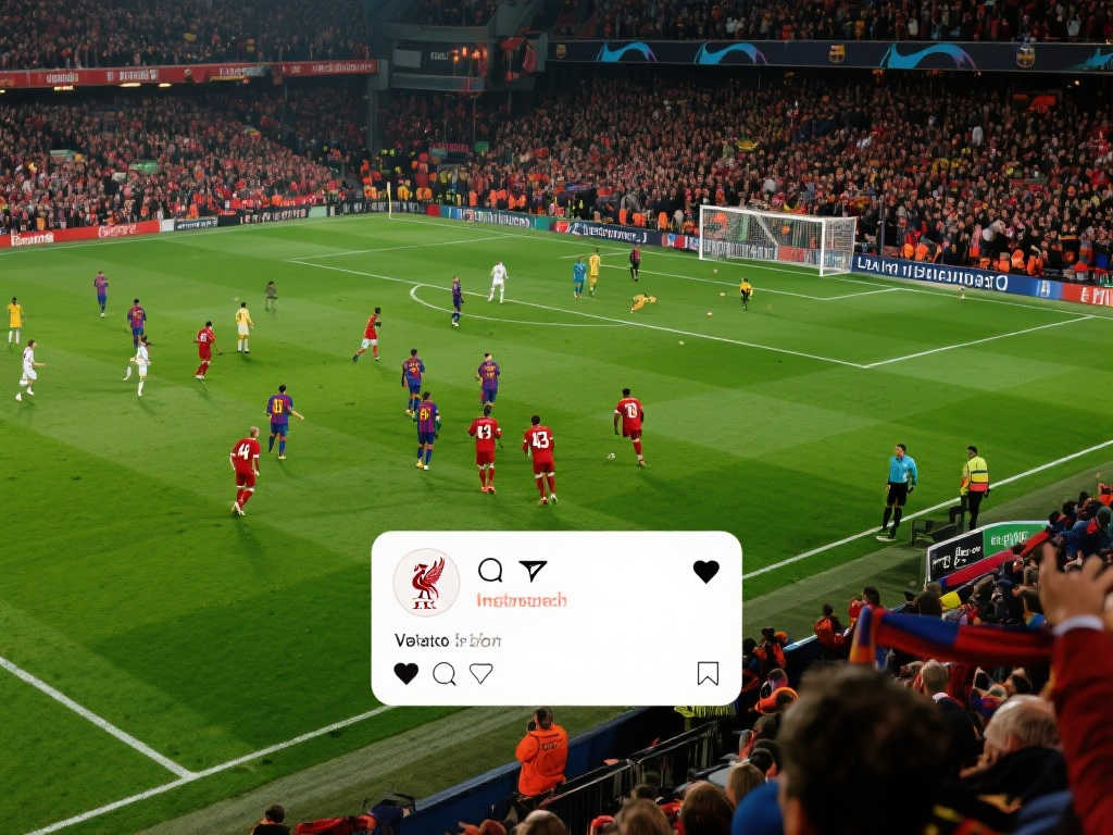 洲顶级联赛 洲顶级联赛